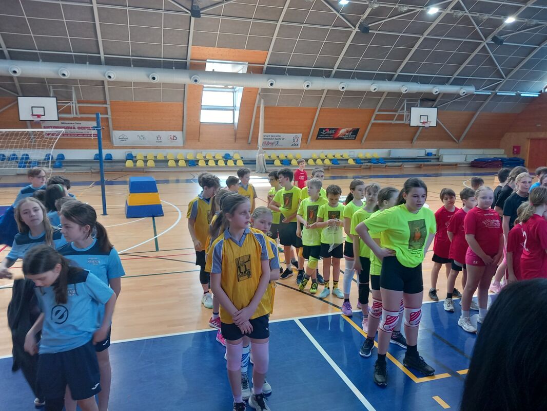 Okresní kolo v přehazované