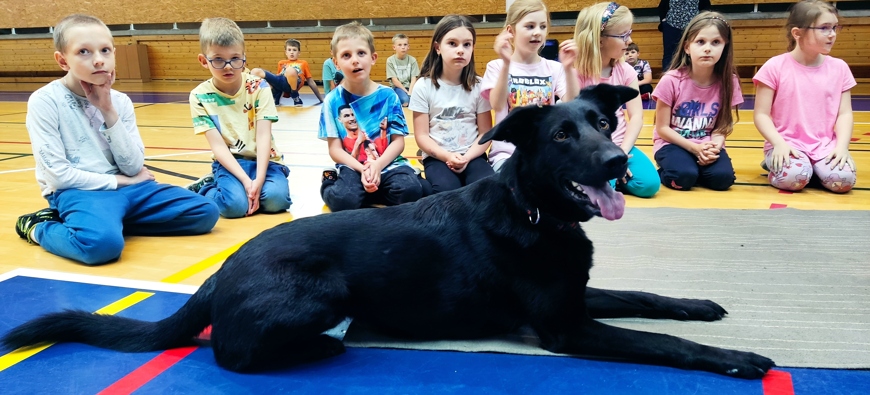 Když tančí pes: Dogdancing s Kateřinou Veinlichovou a fenkou Rey