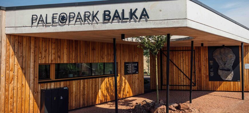Třeťáci v Paleoparku
